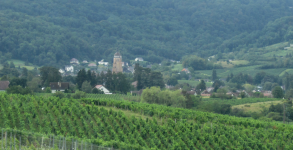 Weinbaugebiet Jura